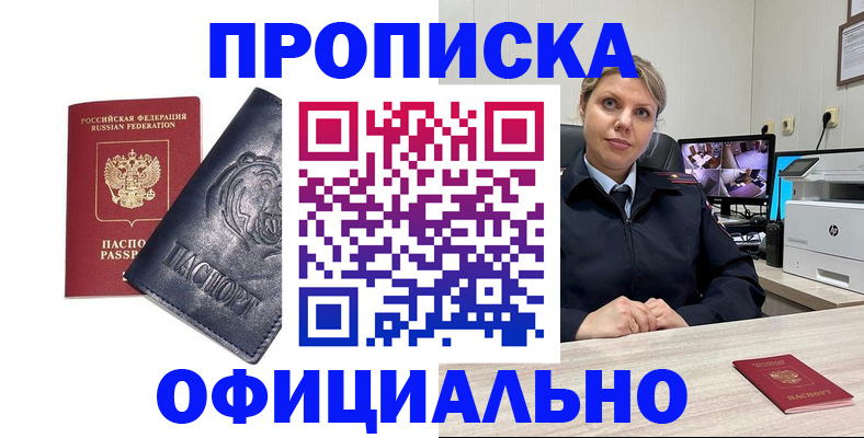 где прописаться в Дмитрове